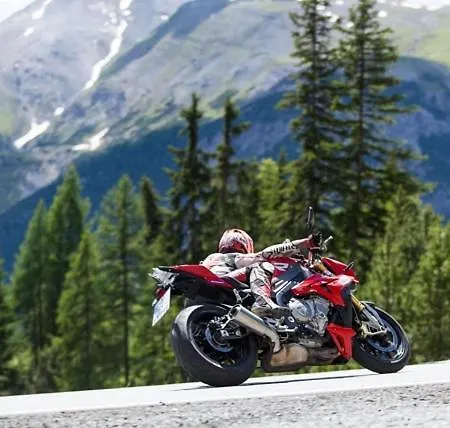 茉莉小屋旅馆 木屋